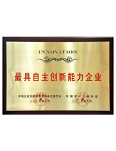 潤(rùn)大世紀(jì)榮獲最具自主創(chuàng)新能力企業(yè)榮譽(yù)證書(shū)，{dede:global.qz_keyword_b/}